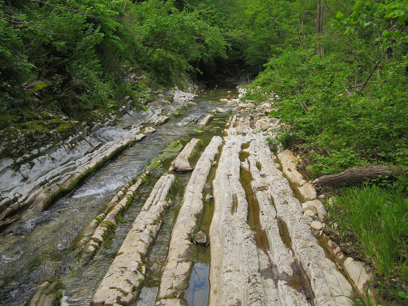 Скобидо, image of landscape/habitat.