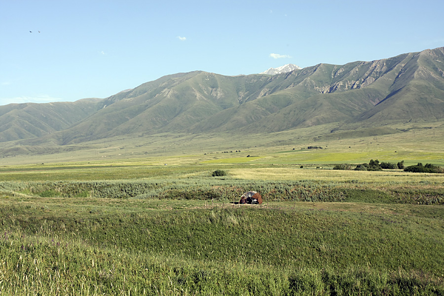 Истоки Арыси, image of landscape/habitat.