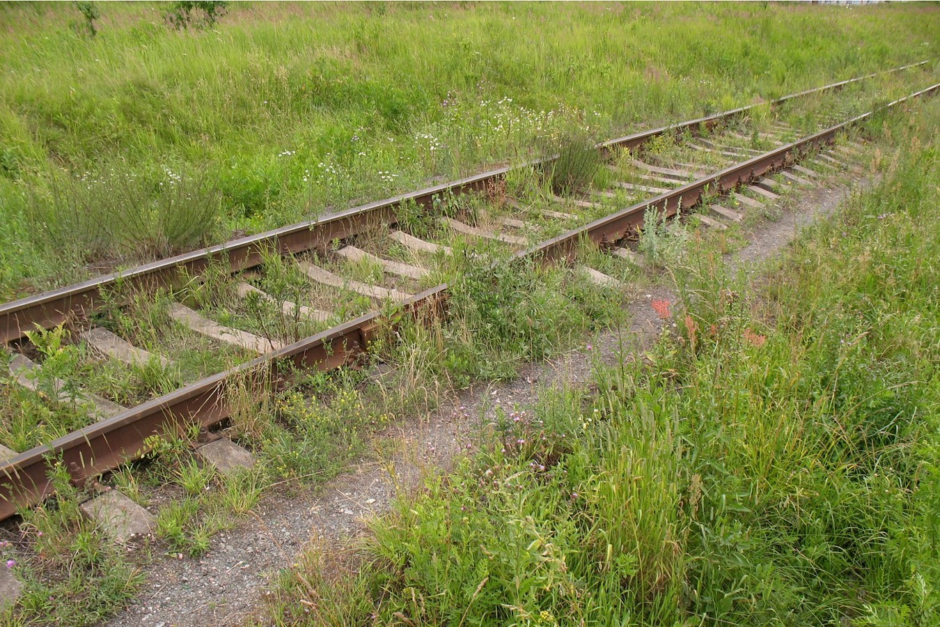 Серпухов-Ветка, image of landscape/habitat.