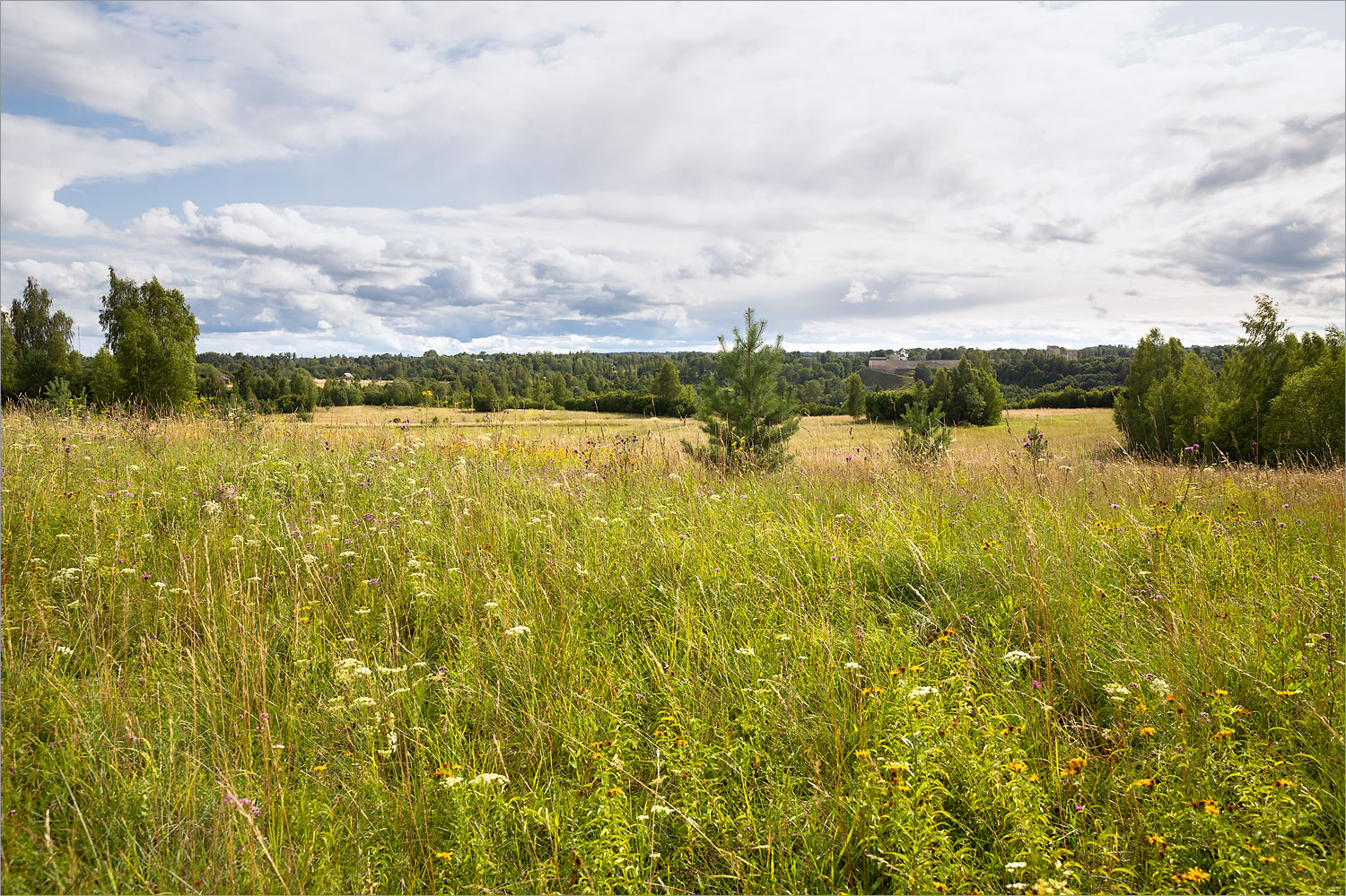 Изборско-Мальская долина, image of landscape/habitat.