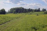 Image of landscape