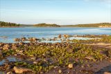 Image of landscape