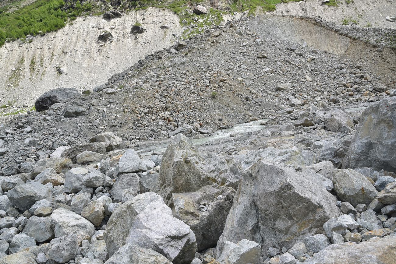Язык ледника Шхельда, image of landscape/habitat.