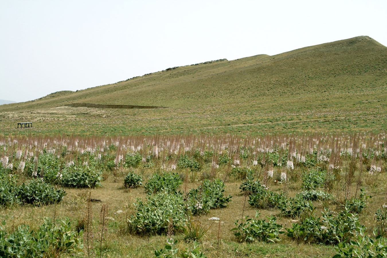 Окрестности зимовки Кошкудук, изображение ландшафта.