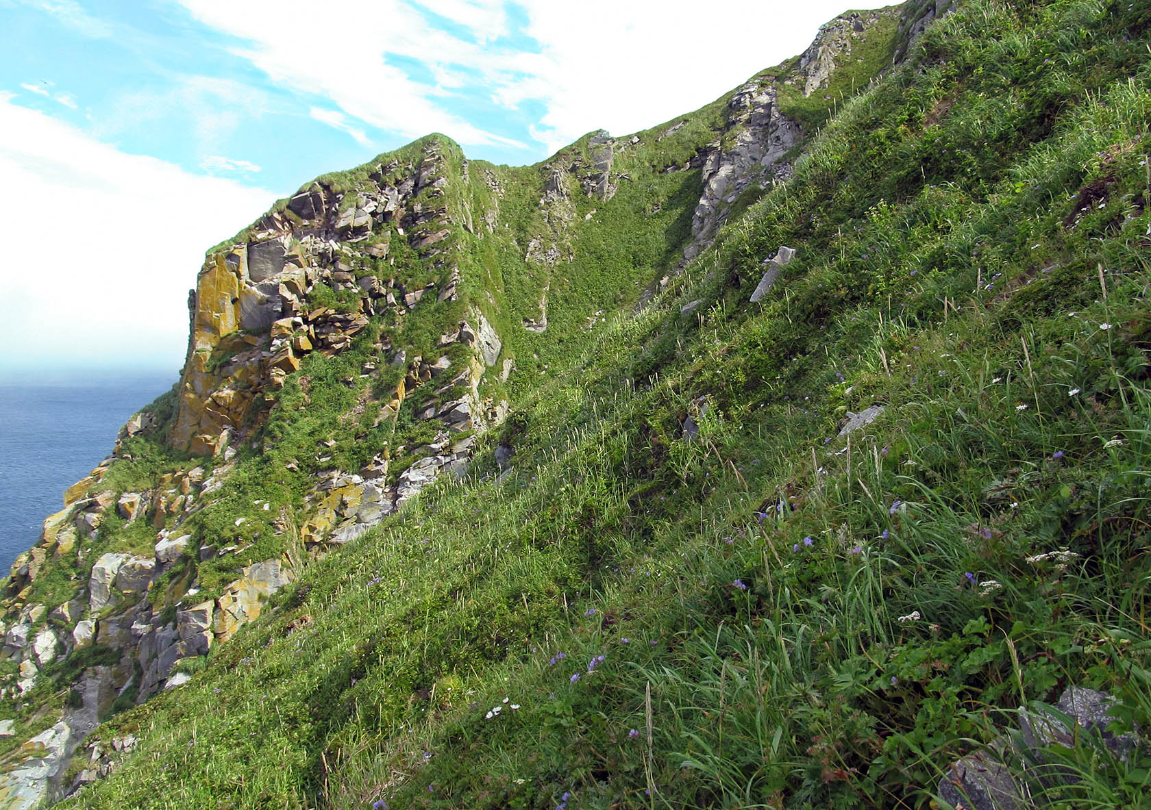 Остров Медный, image of landscape/habitat.