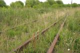 Серпухов-Ветка, image of landscape/habitat.