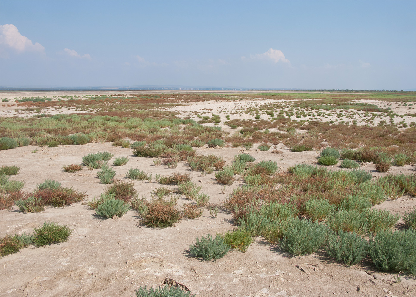 Витязевский лиман, image of landscape/habitat.