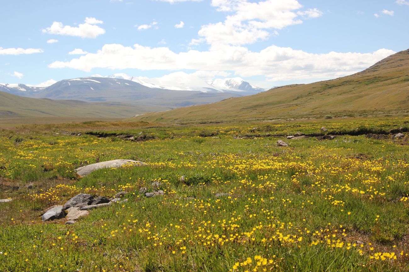 Окрестности стоянки Аргамджи, image of landscape/habitat.