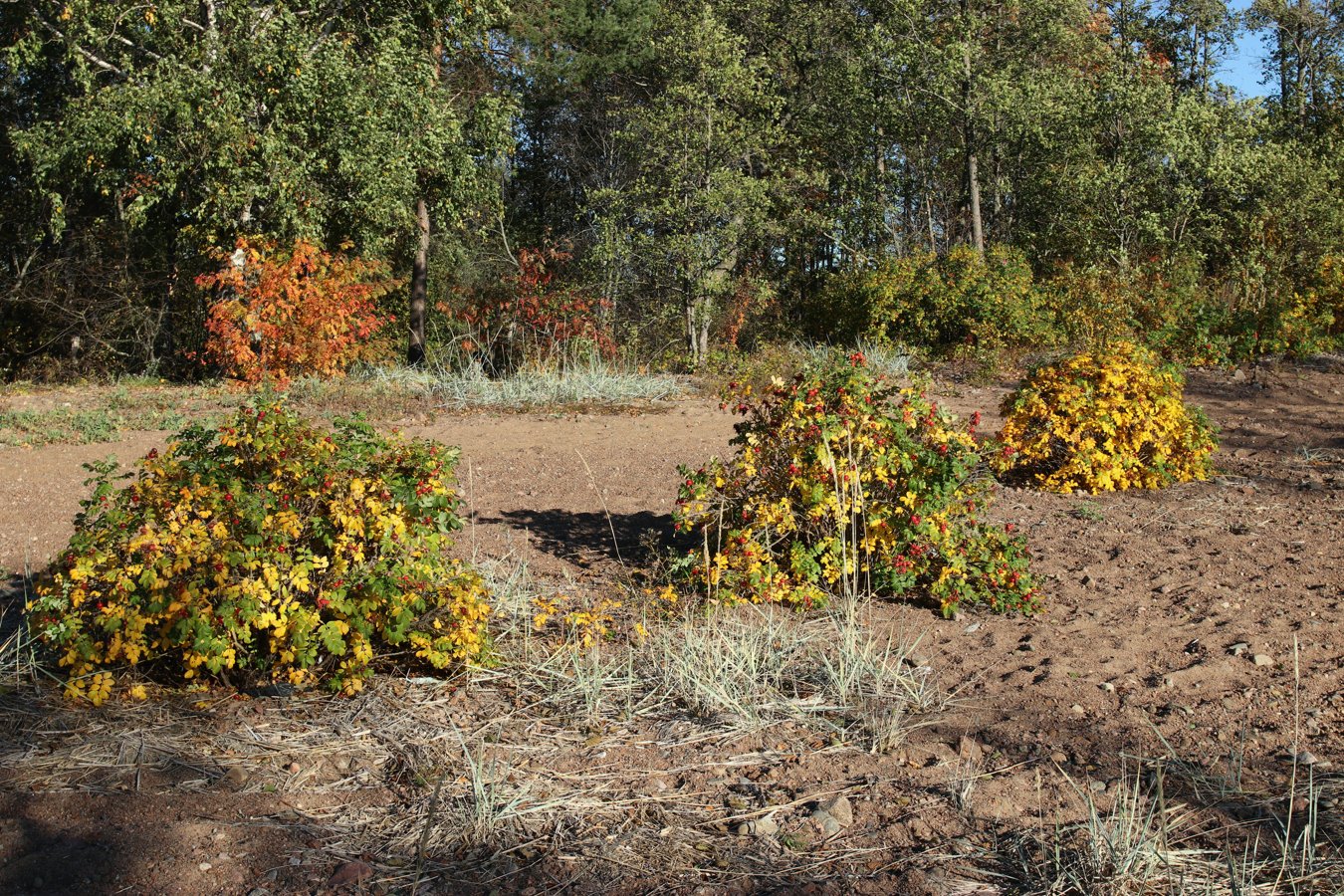 Каравалдай, image of landscape/habitat.