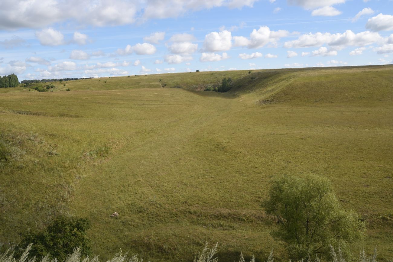 Нижняя часть долины Паники, image of landscape/habitat.