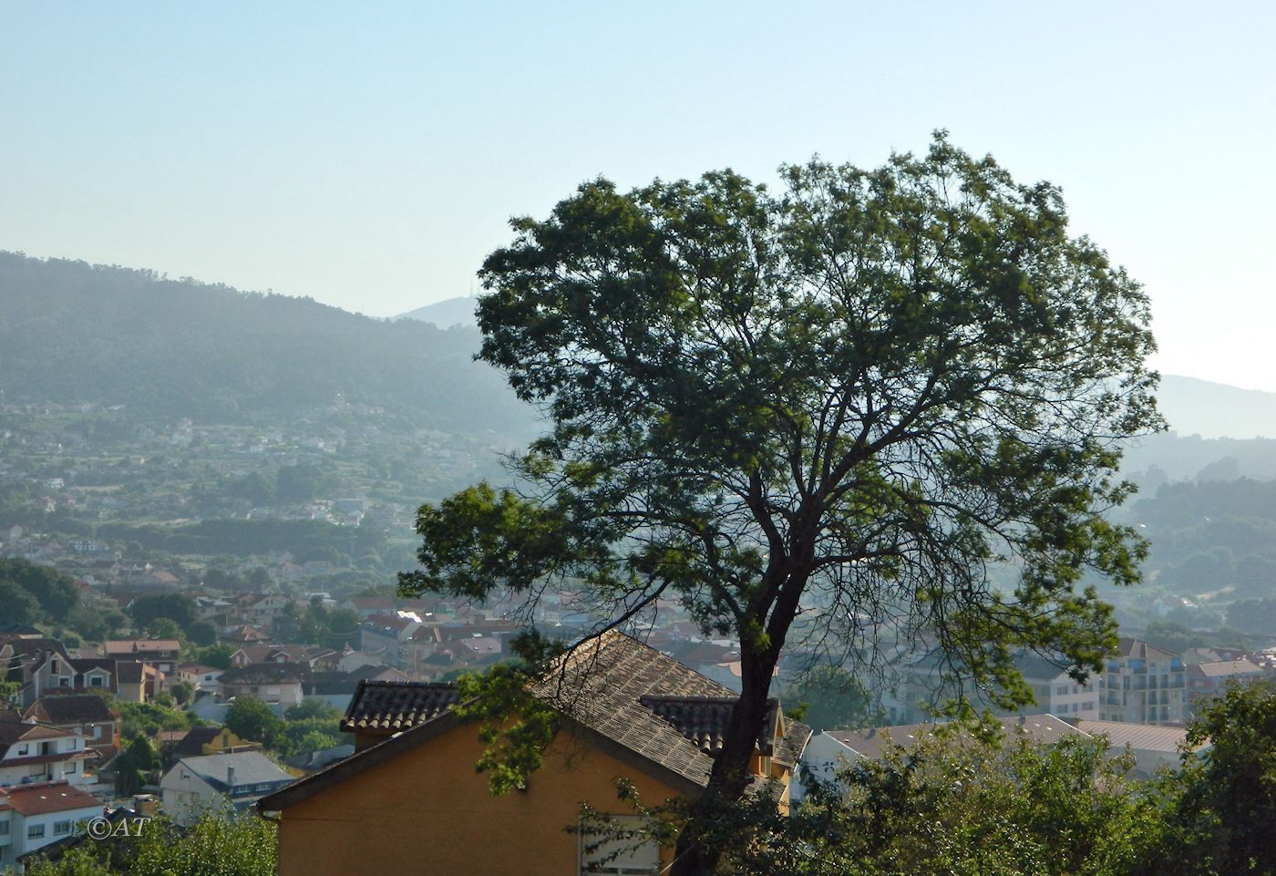 Кангас (Cangas de Morrazo), image of landscape/habitat.