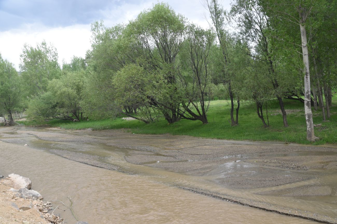 Явузлар, image of landscape/habitat.