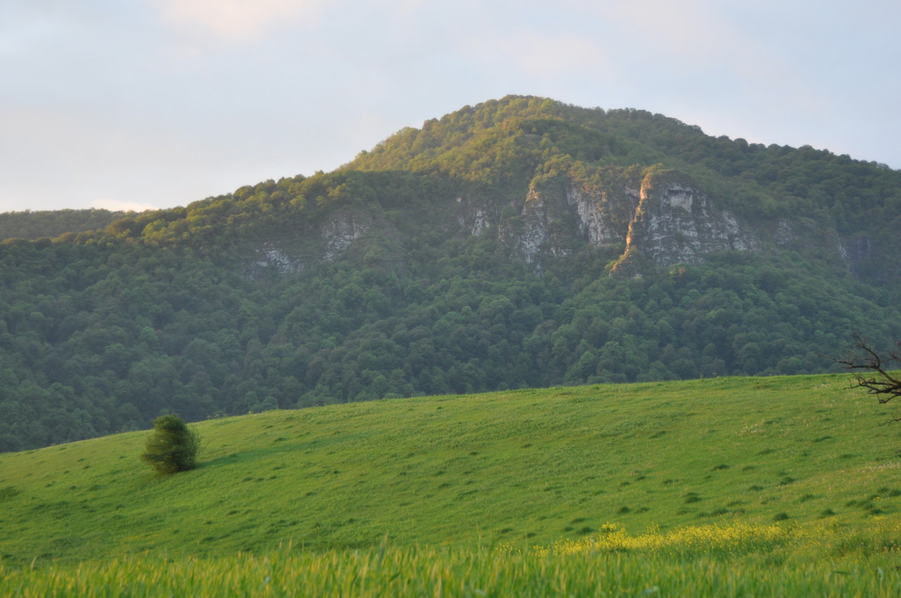 Окрестности села Колатак, image of landscape/habitat.