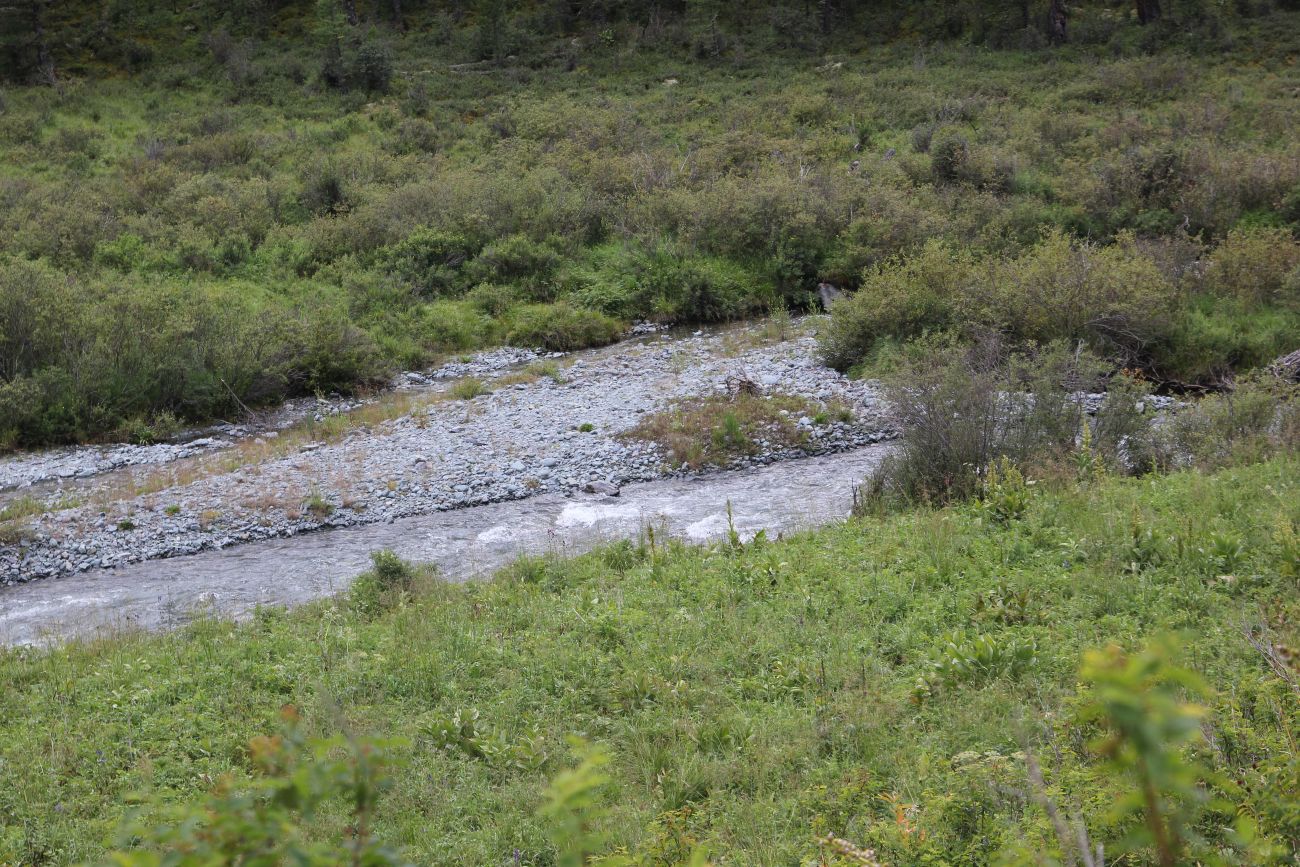 Долина реки Куйгук, image of landscape/habitat.