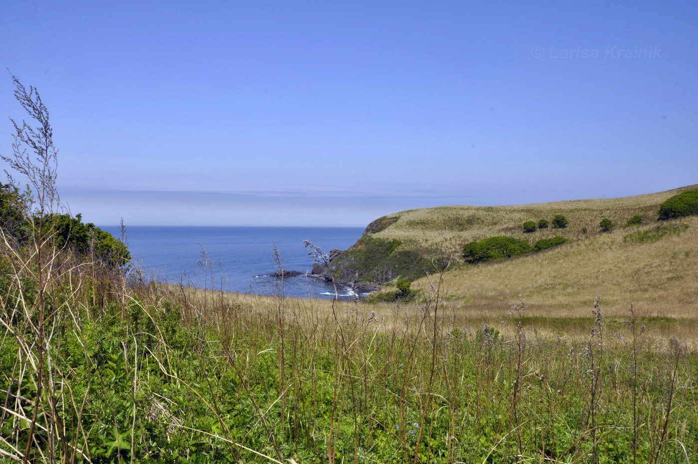 Окрестности пос. Дунай, image of landscape/habitat.