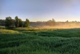 Клец, image of landscape/habitat.