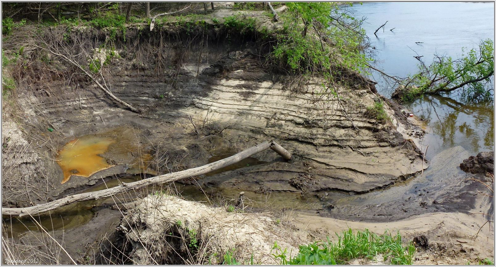 Пойма р. Шумерлинка, image of landscape/habitat.