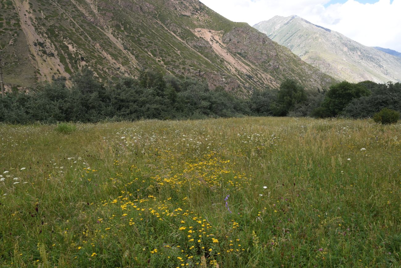 Памятник первовосходителям, image of landscape/habitat.