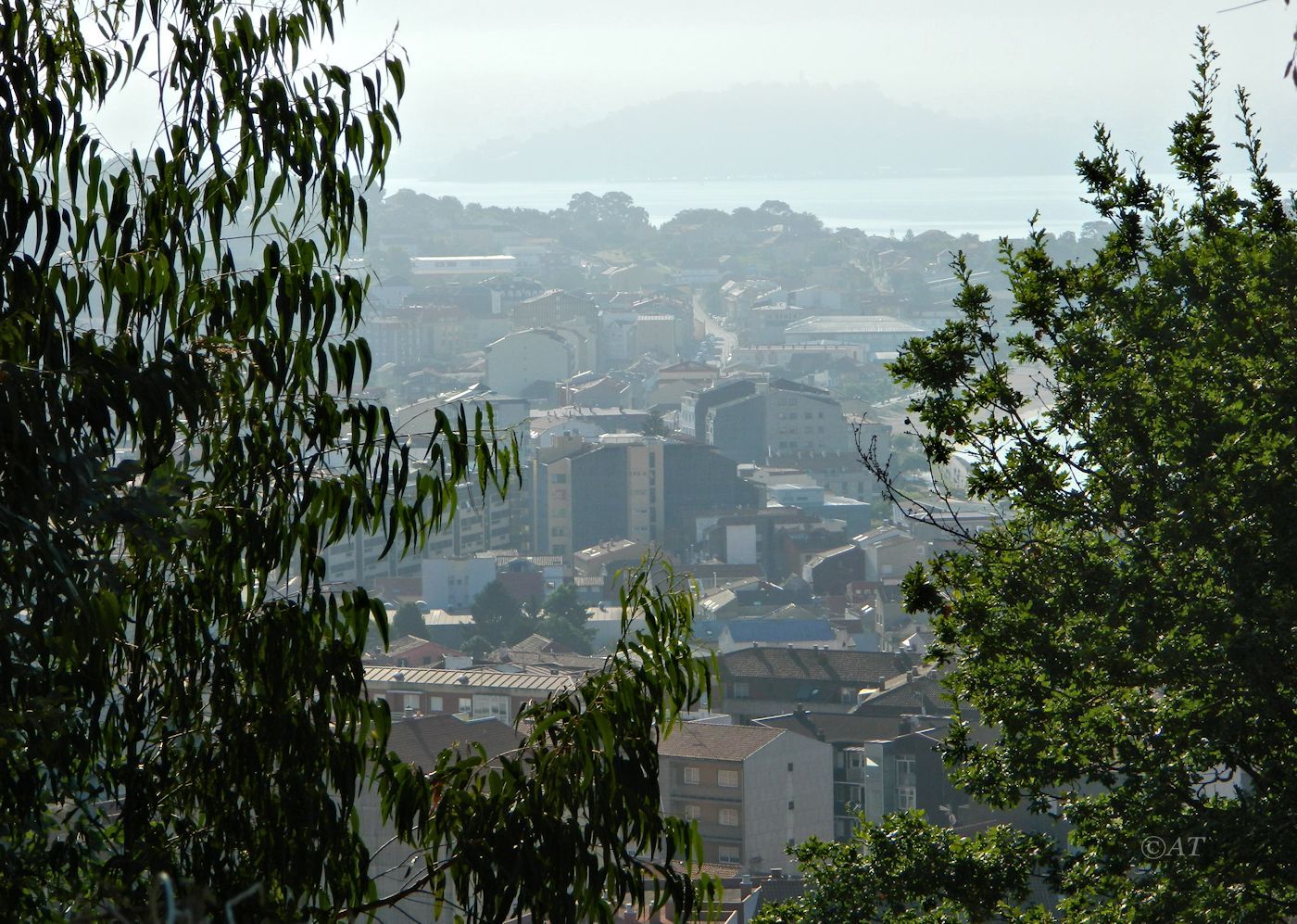 Кангас (Cangas de Morrazo), image of landscape/habitat.
