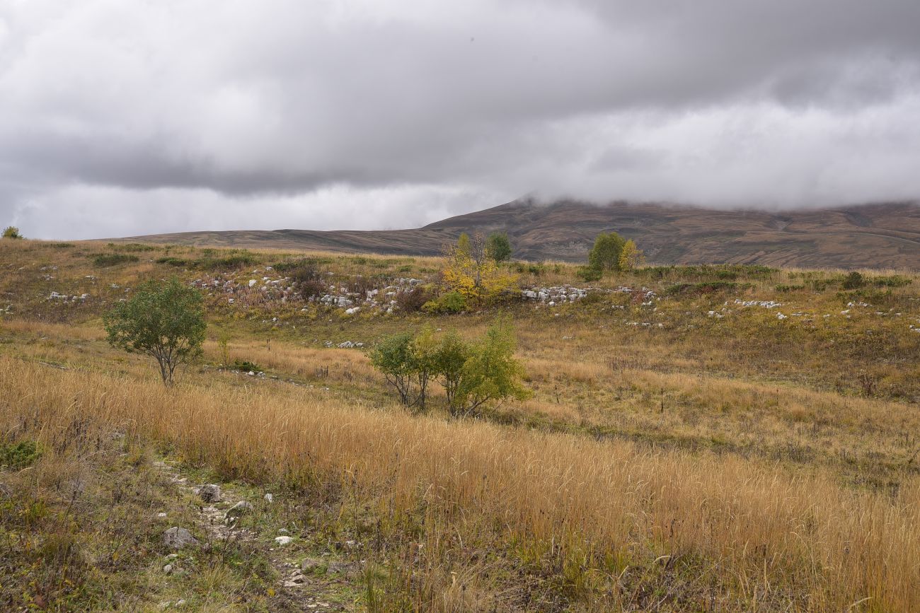 Окрестности ретранслятора, image of landscape/habitat.