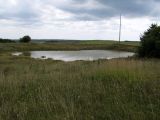 Рекультивированный карьер, image of landscape/habitat.