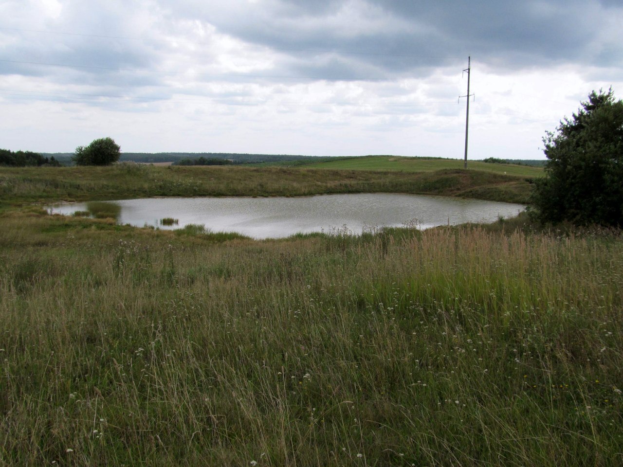 Рекультивированный карьер, image of landscape/habitat.