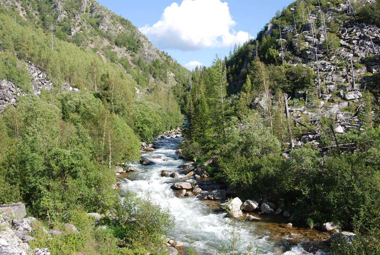 Долина реки Большой Чивыркуй, image of landscape/habitat.