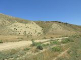 Долина реки Камышчай, image of landscape/habitat.