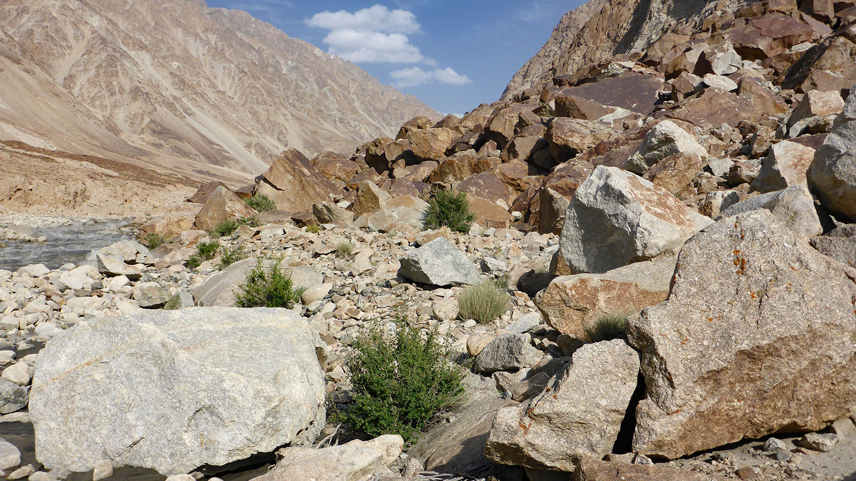 Каттамарджанай, image of landscape/habitat.