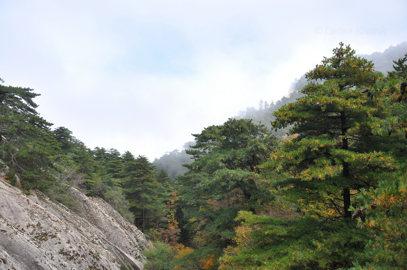 Национальный парк "Хуашань", image of landscape/habitat.