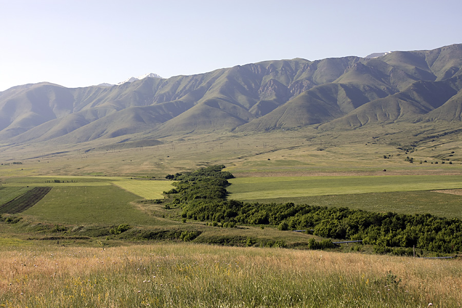 Истоки Арыси, image of landscape/habitat.