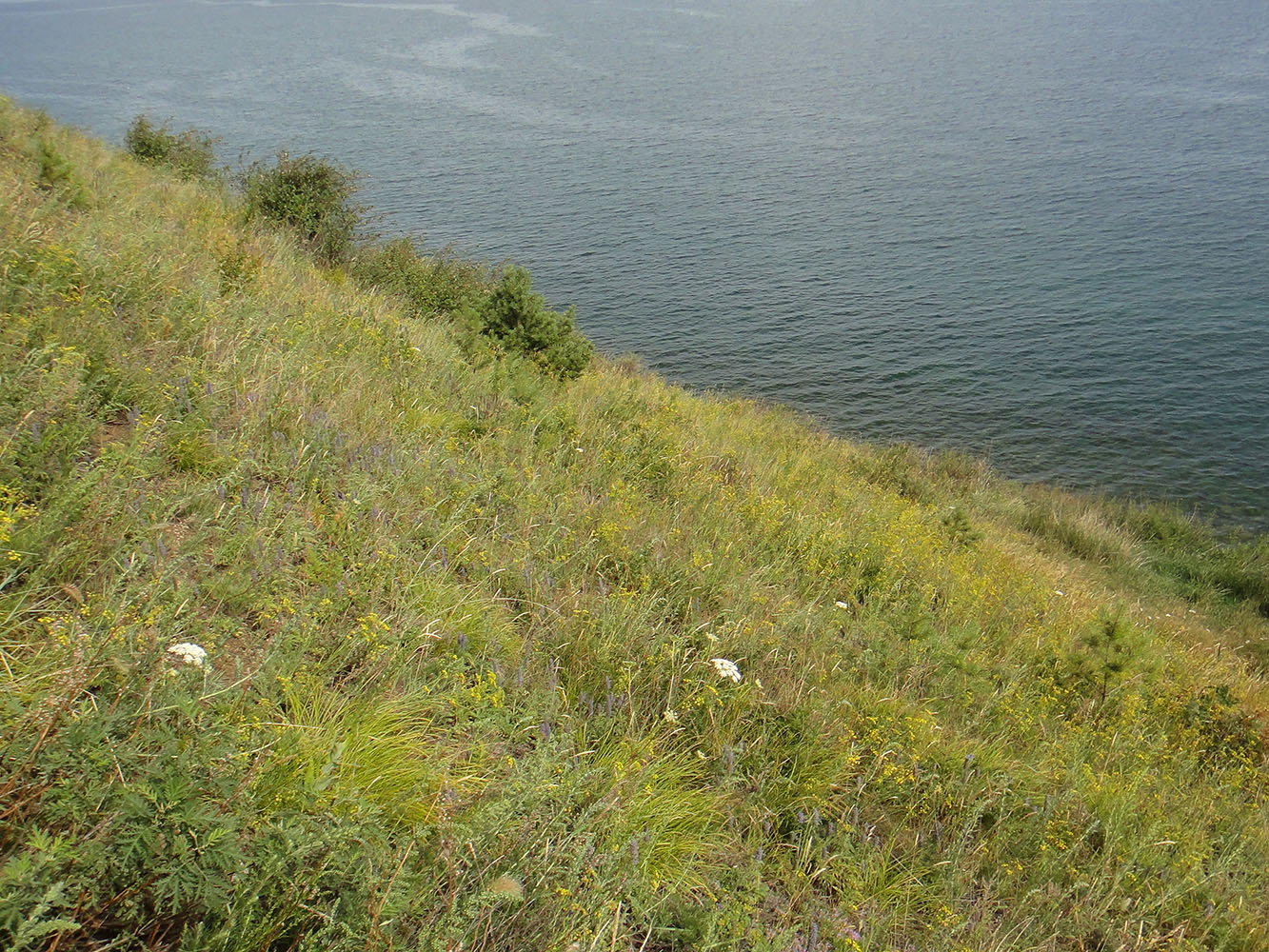 Листвянка, image of landscape/habitat.