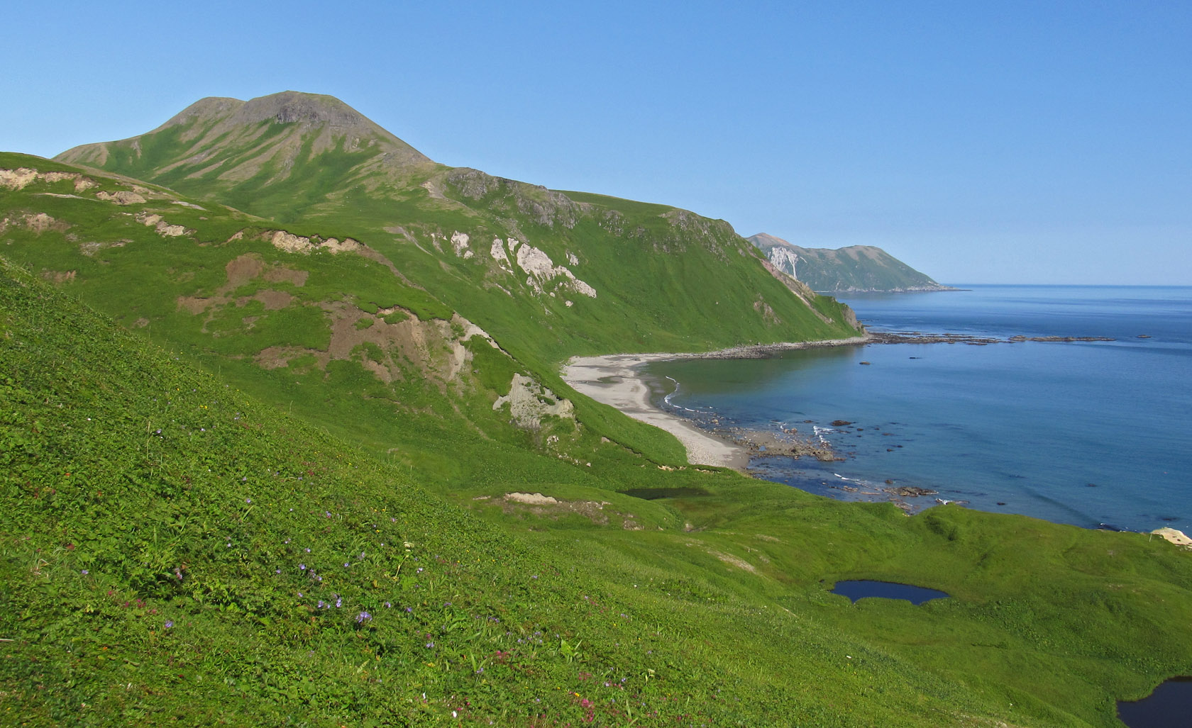 Остров Медный, image of landscape/habitat.