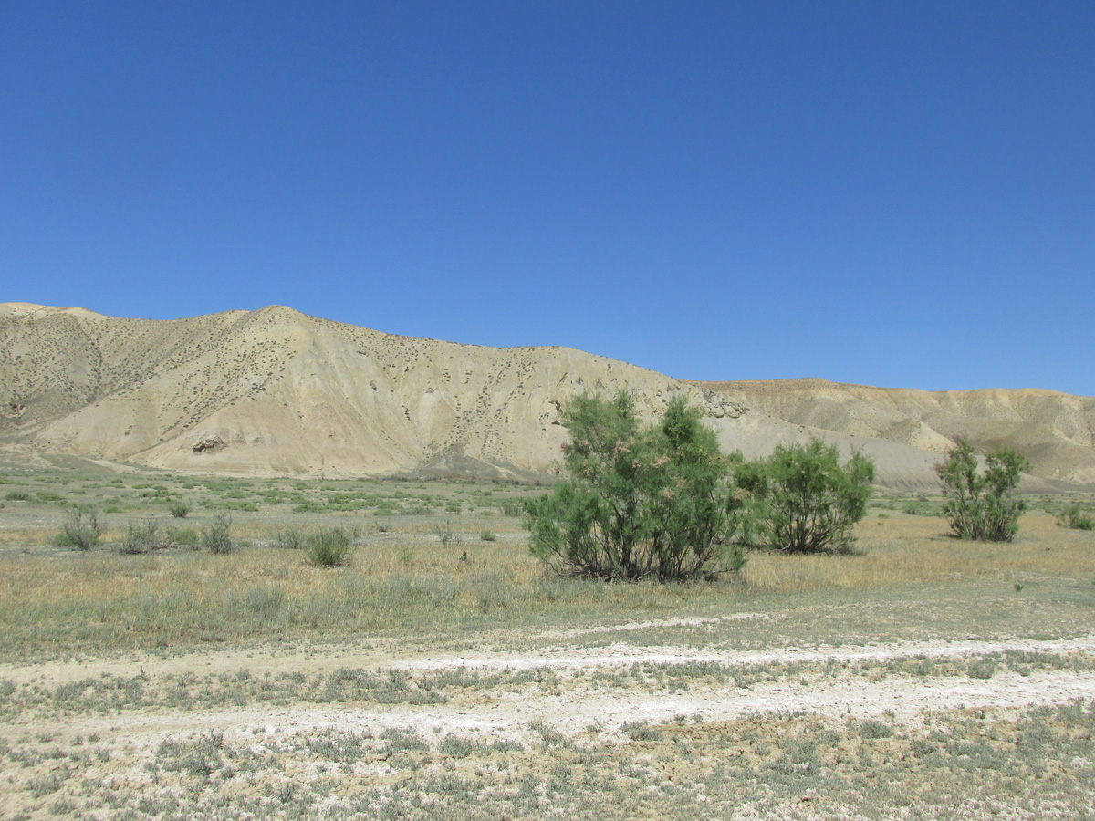 Долина реки Камышчай, image of landscape/habitat.