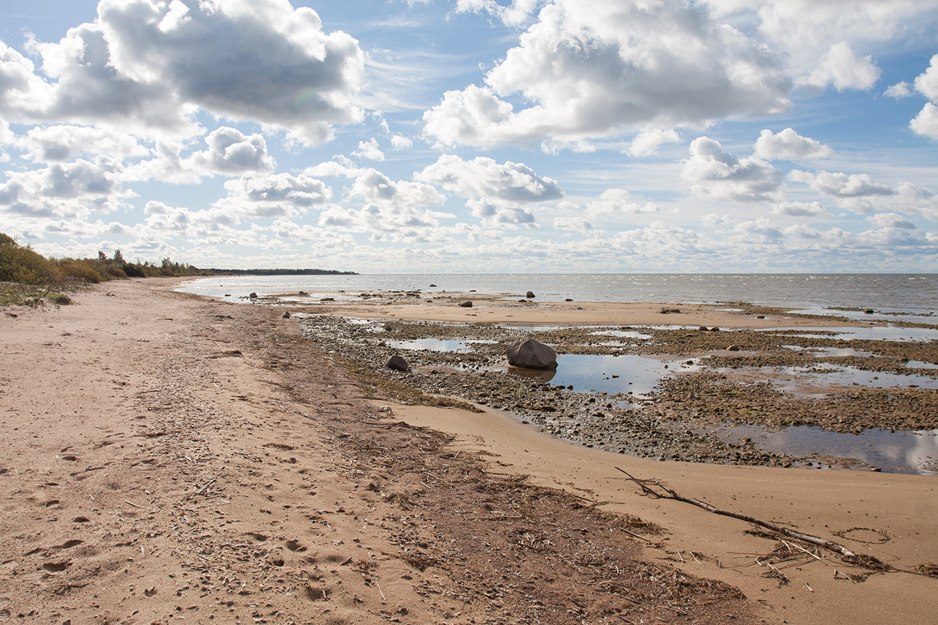 Лунёвщина, image of landscape/habitat.