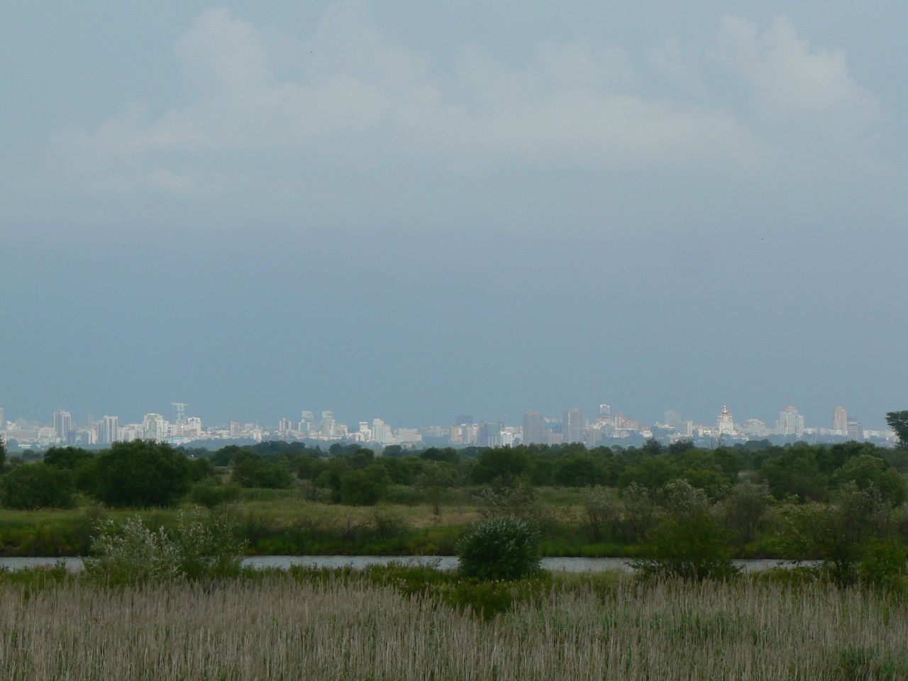 Большой Уссурийский остров, image of landscape/habitat.