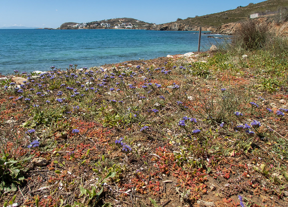 Остров Сирос, image of landscape/habitat.