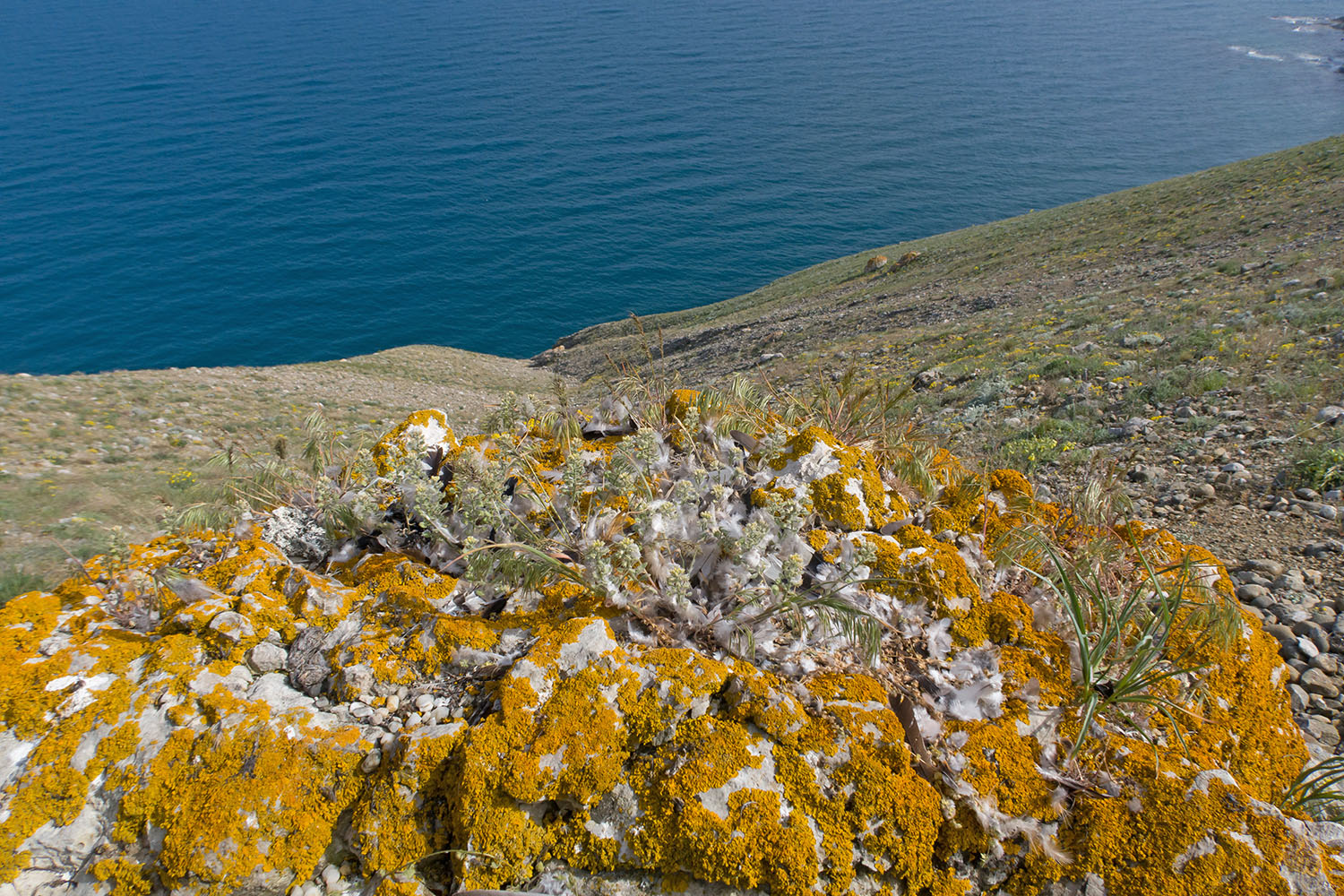 Киик-Атлама, image of landscape/habitat.