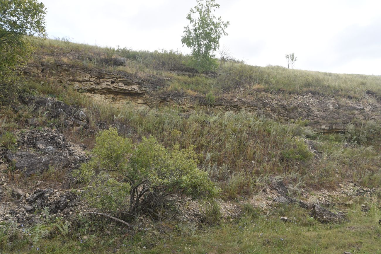 Нижняя часть долины Паники, image of landscape/habitat.