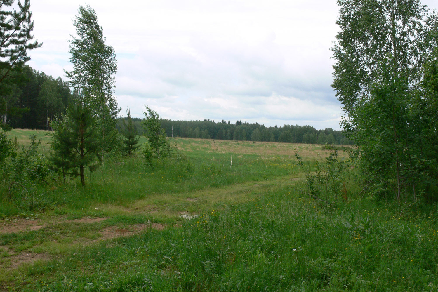 Мостовское, image of landscape/habitat.