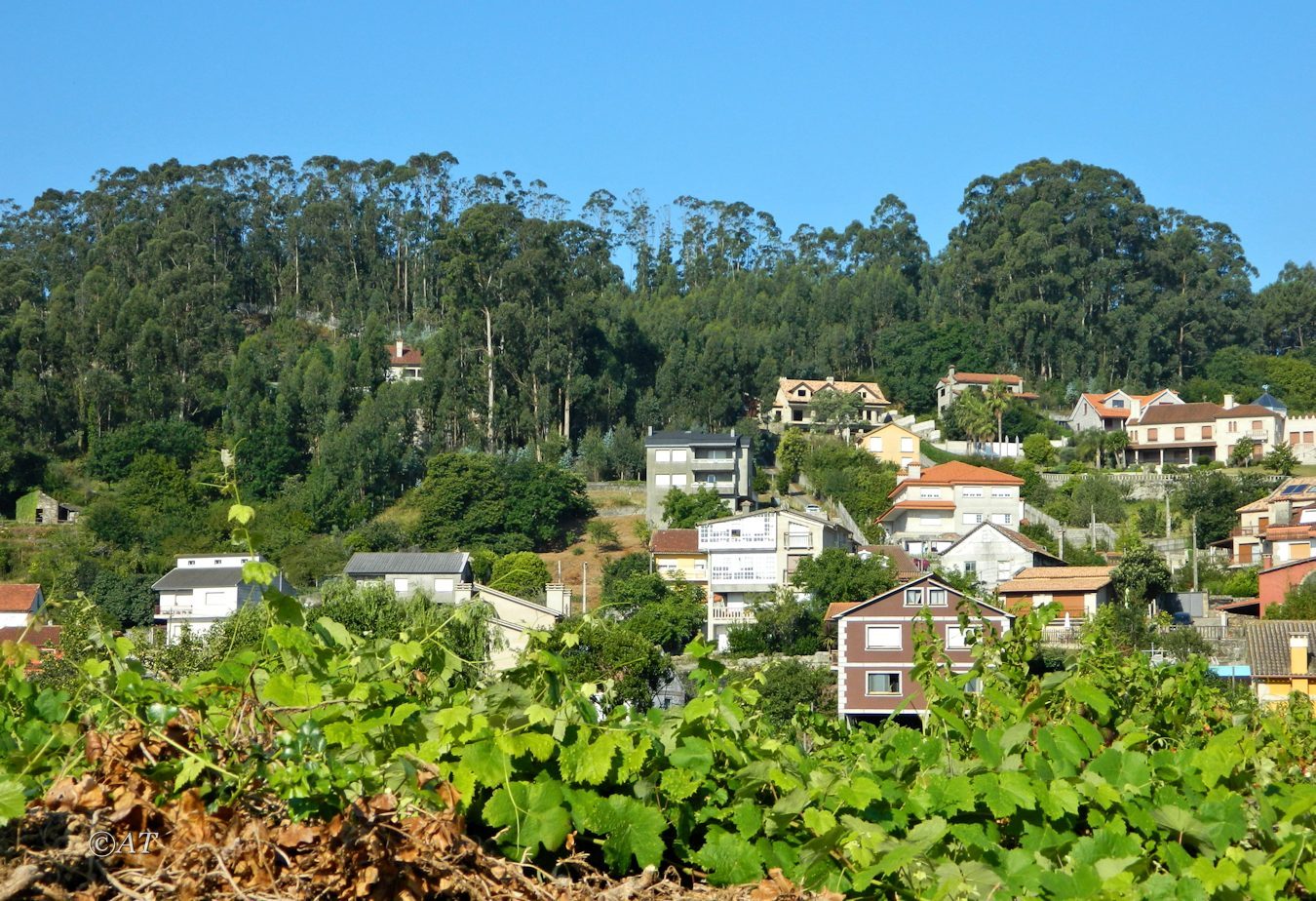 Кангас (Cangas de Morrazo), image of landscape/habitat.