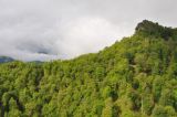 Окрестности села Колатак, image of landscape/habitat.