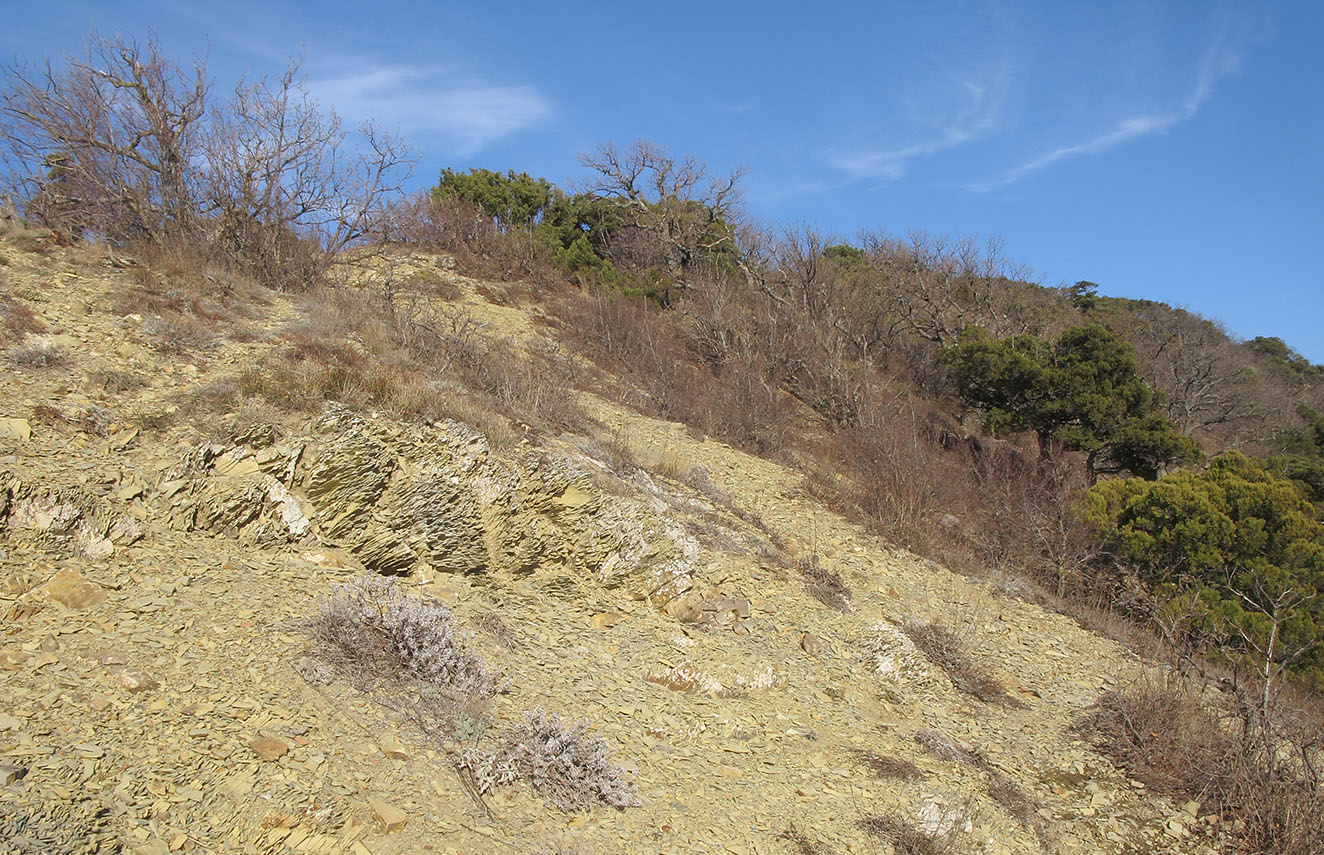 Большой Утриш, гора Солдатская, image of landscape/habitat.