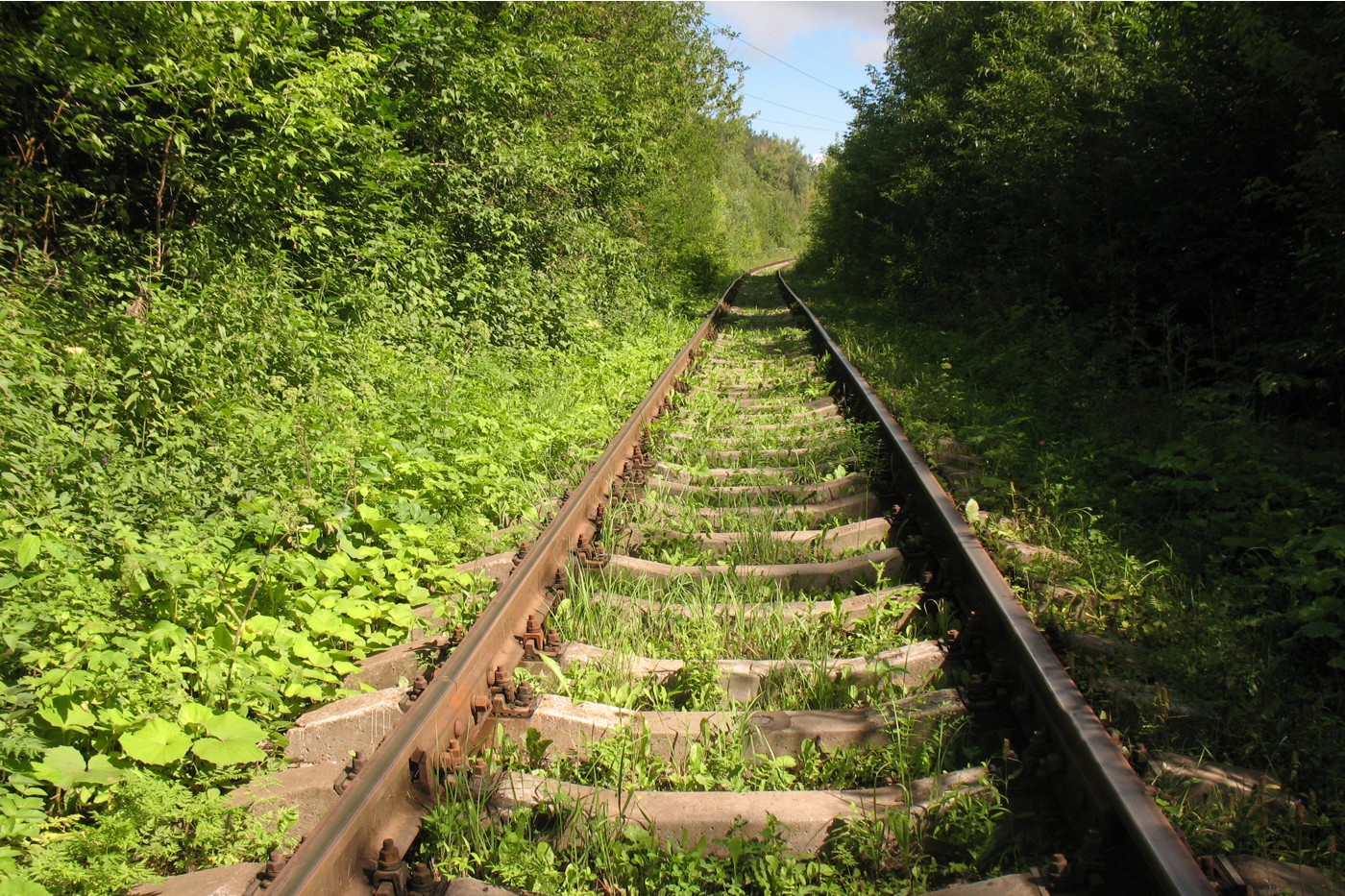 Серпухов-Ветка, image of landscape/habitat.