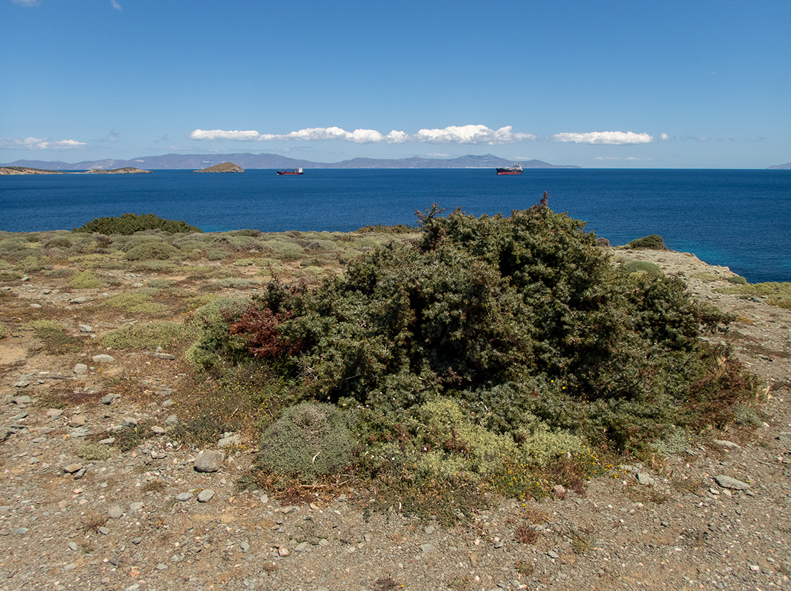 Остров Сирос, image of landscape/habitat.