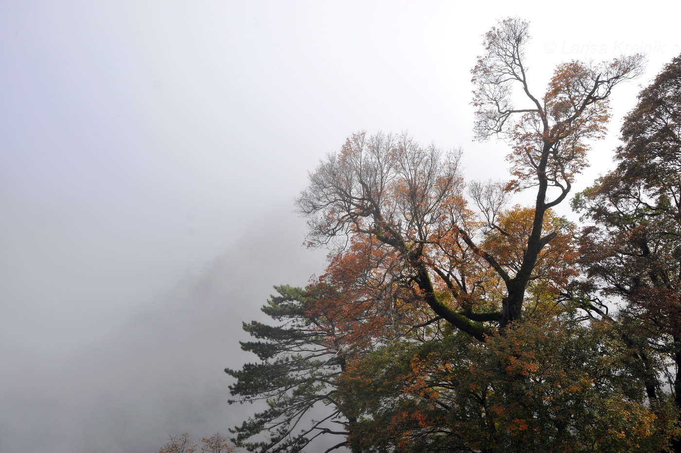Национальный парк "Хуашань", image of landscape/habitat.