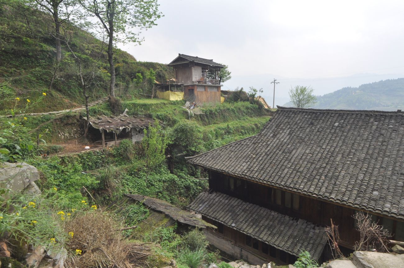 Рисовые террасы Дажай, image of landscape/habitat.
