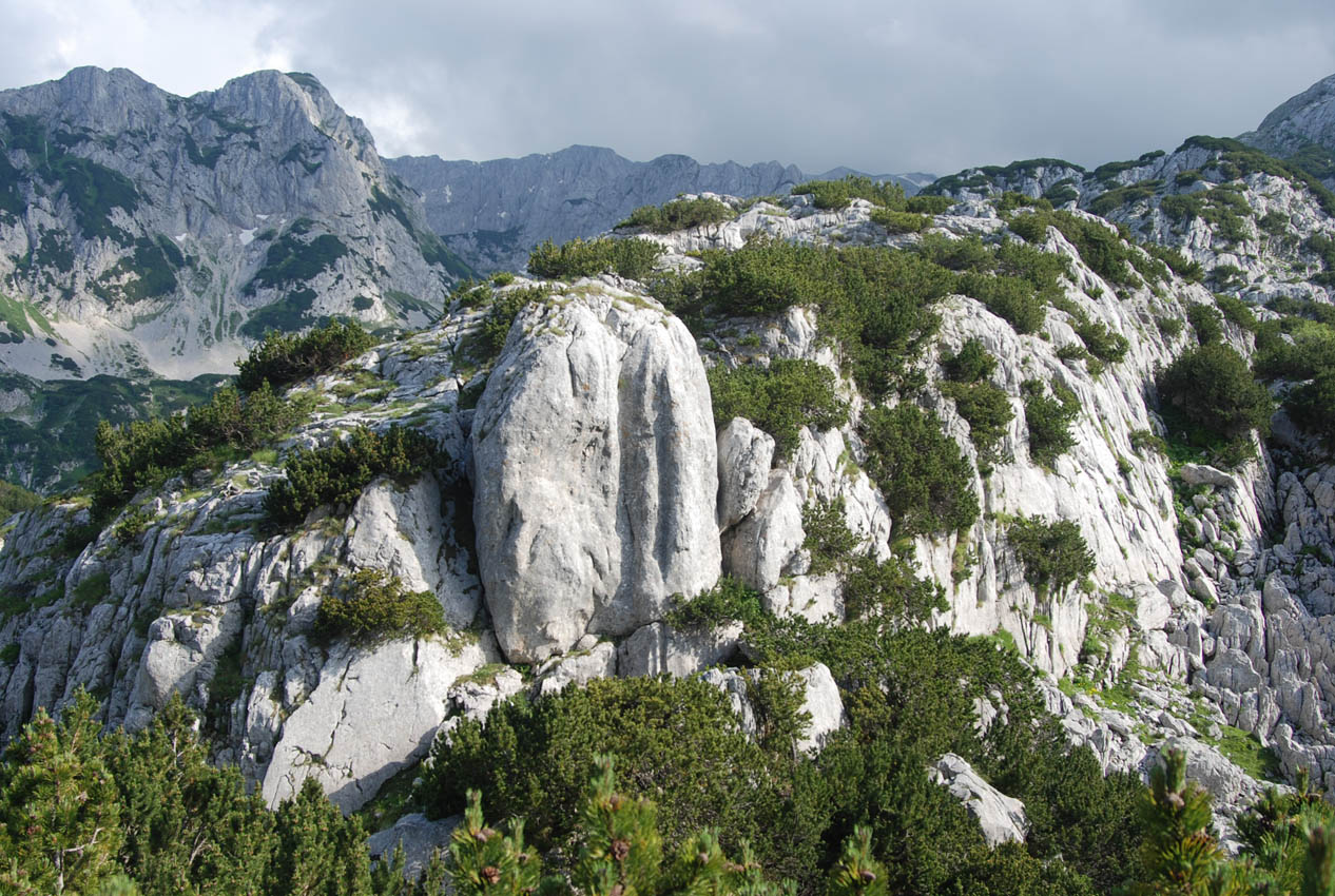 Дурмитор, image of landscape/habitat.