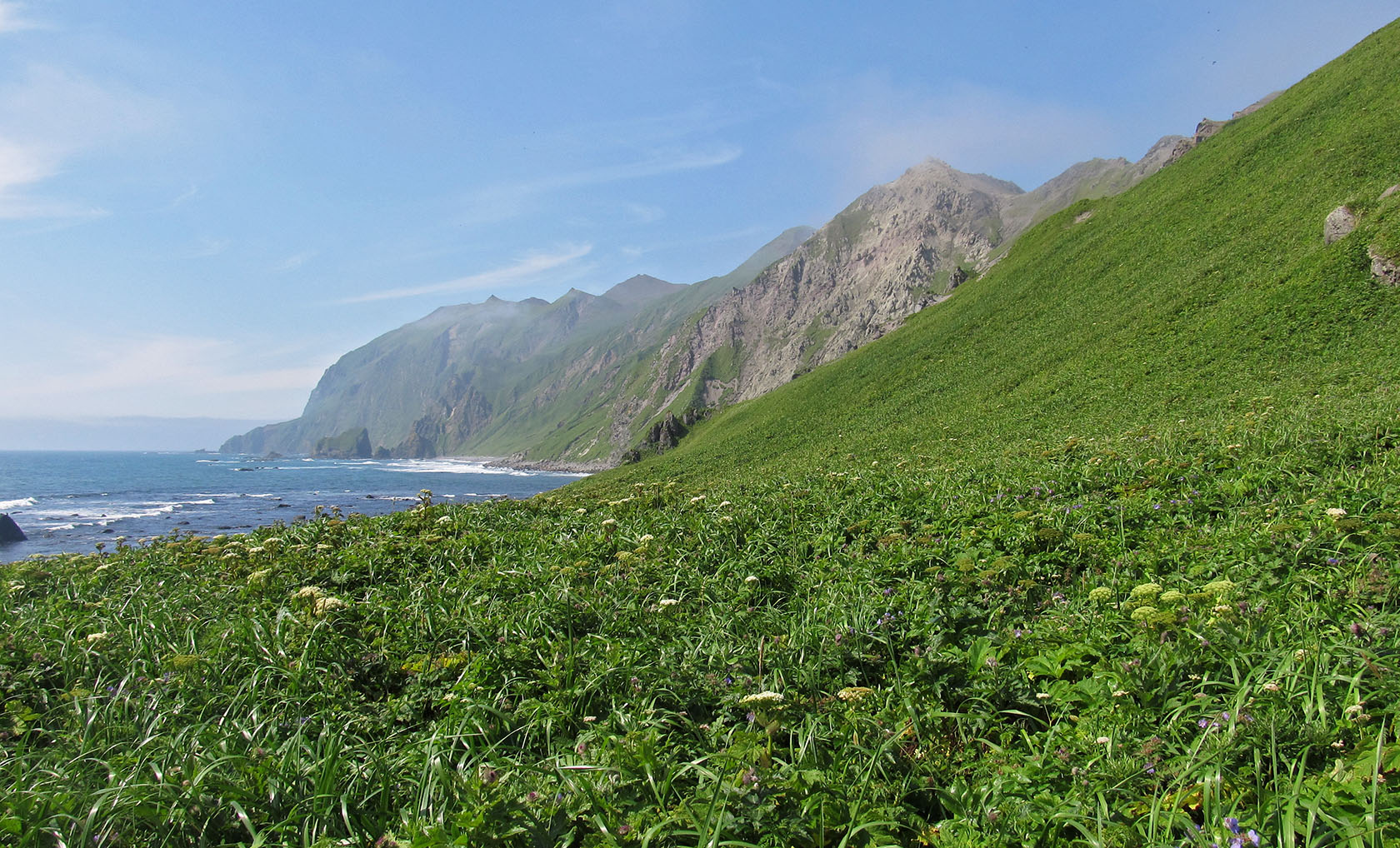 Остров Медный, image of landscape/habitat.