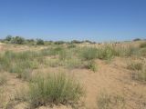 Image of landscape